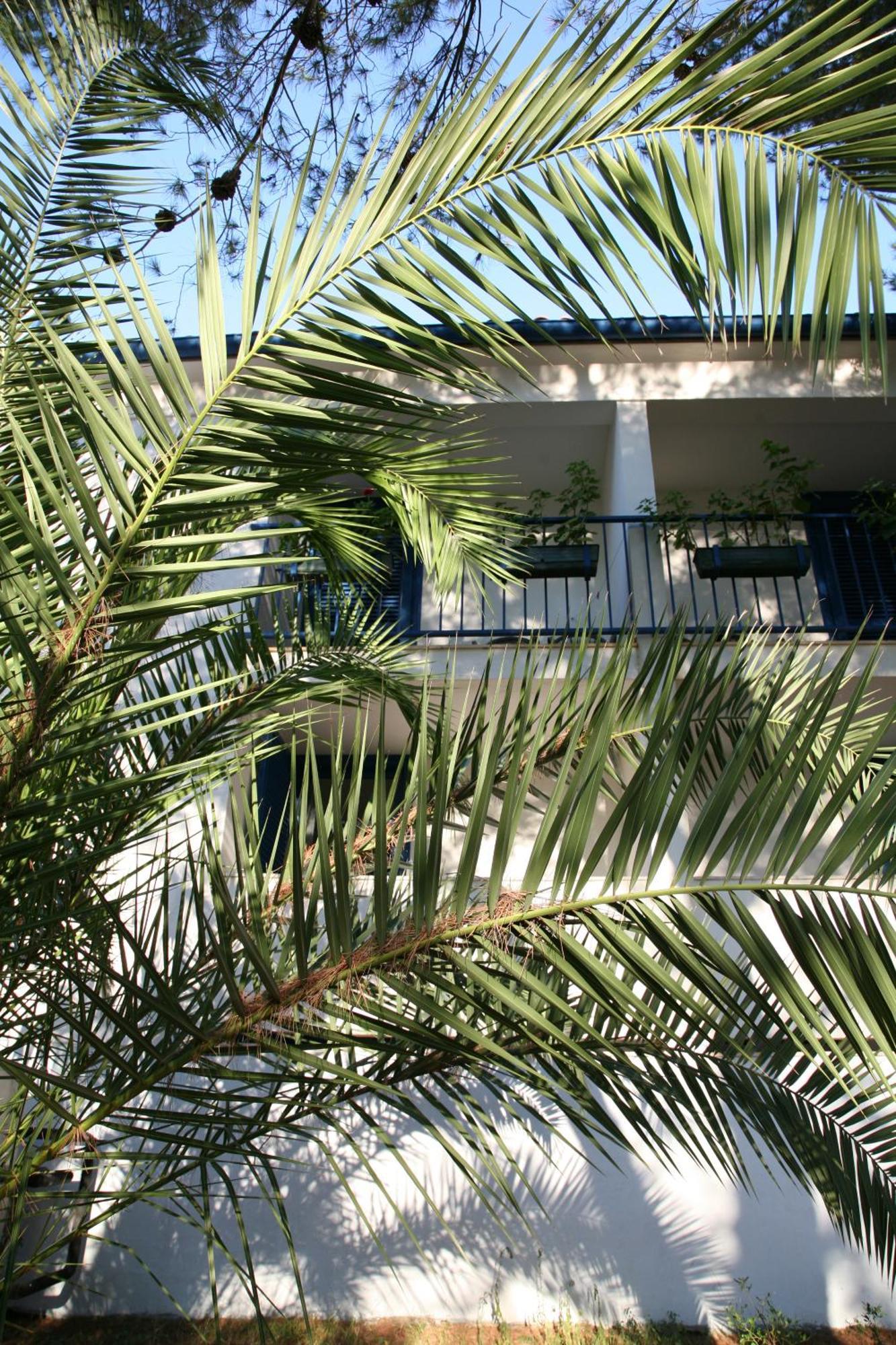 Hotel Sali Exterior foto